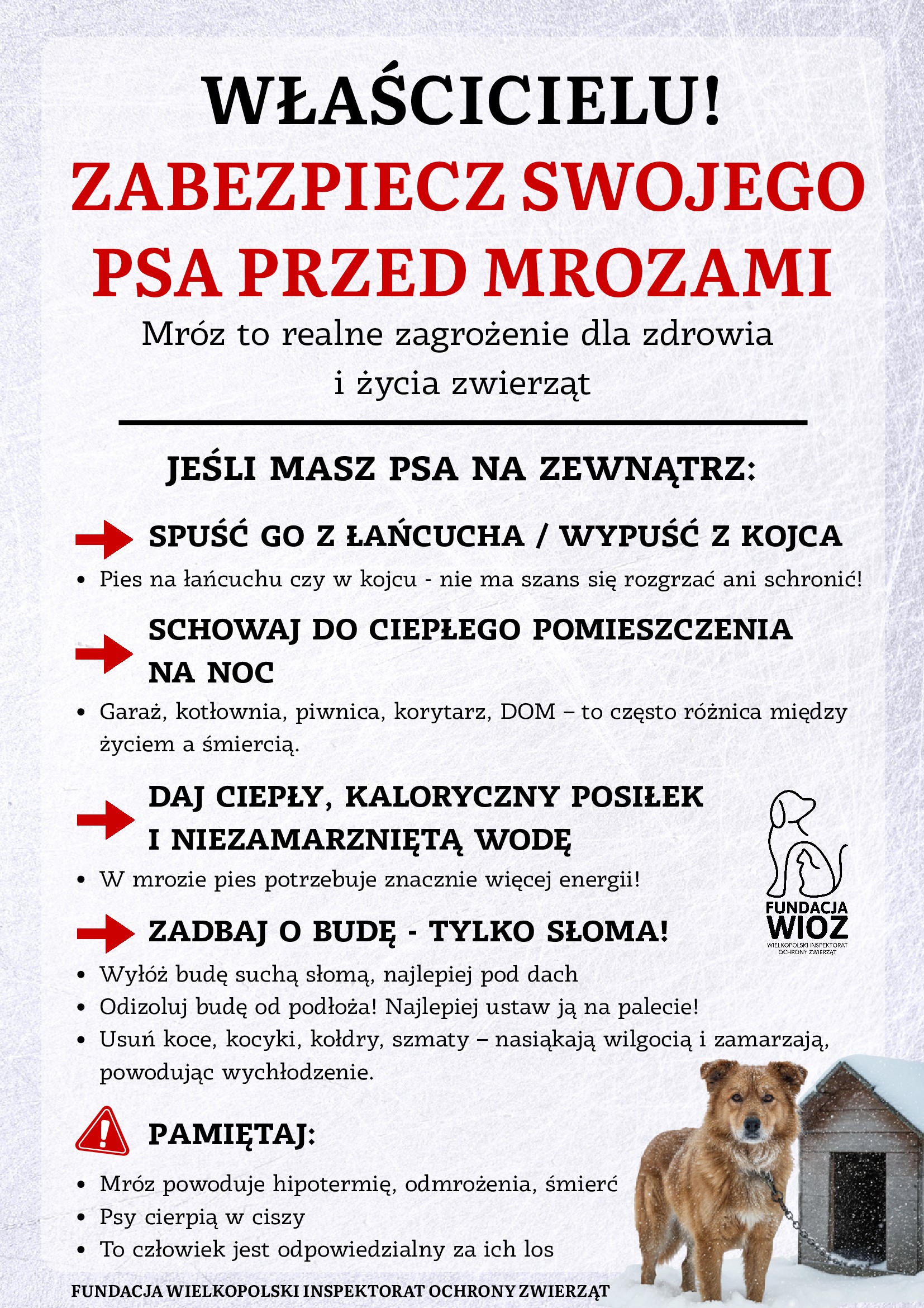 plakat informacyjny o koniecznosci zabezpieczenia zwierząt przed mrozami
