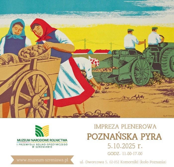 infografika