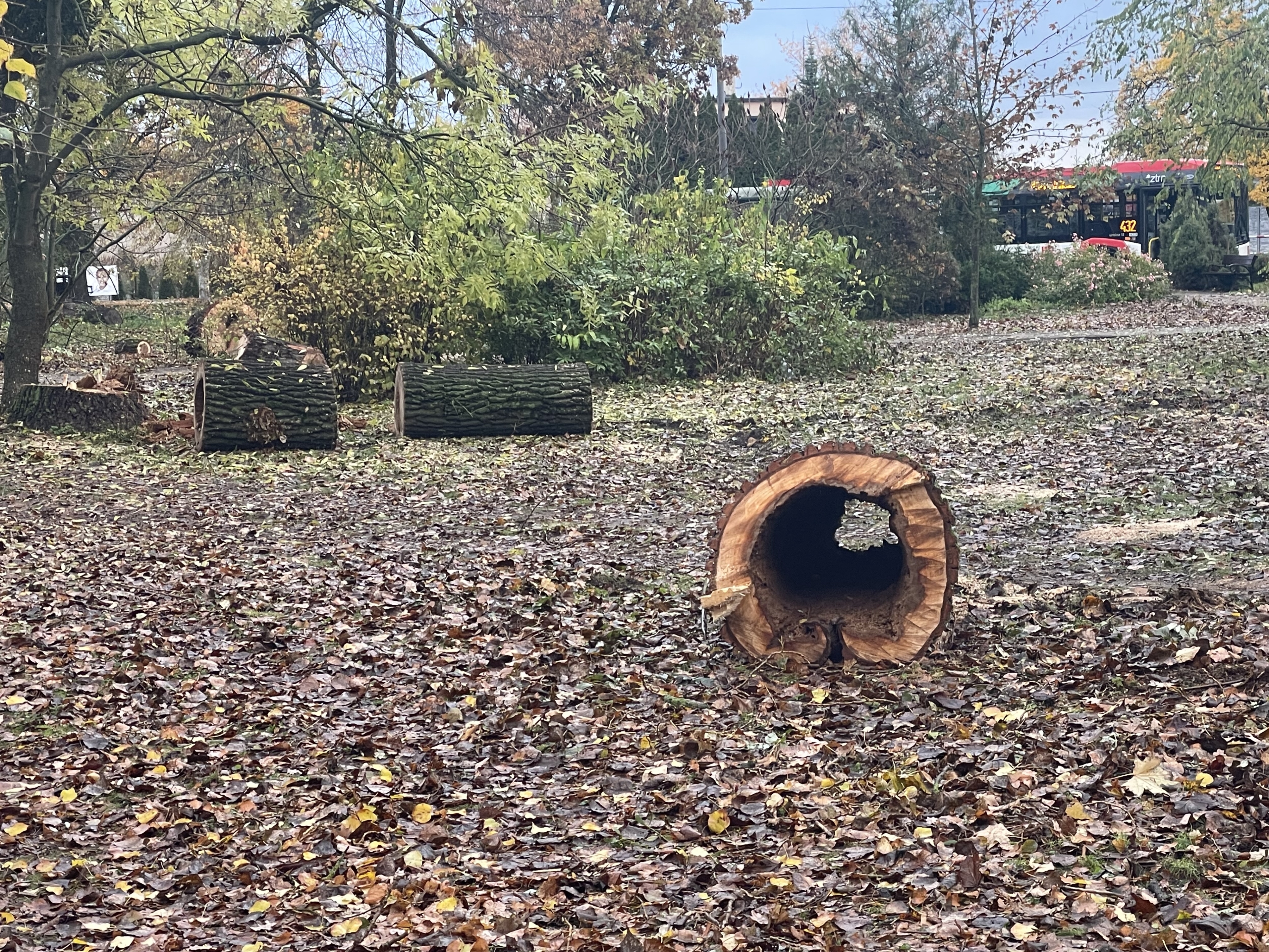 PRACE PIELĘGNACYJNE W PARKU W KLESZCZEWIE