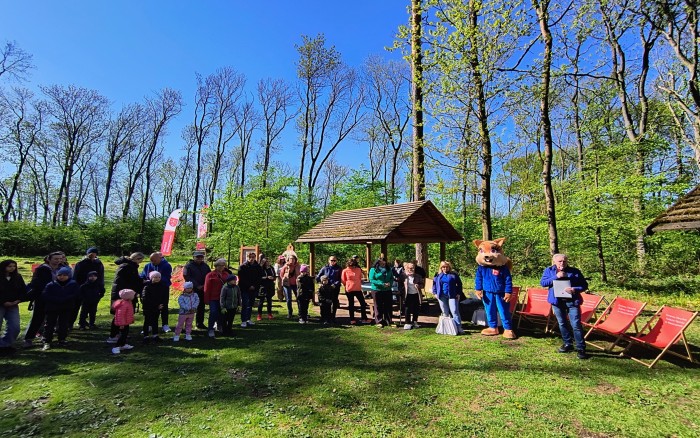 15 Sprzątanie lasu