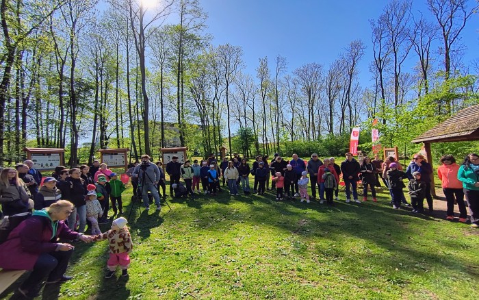15 Sprzątanie lasu