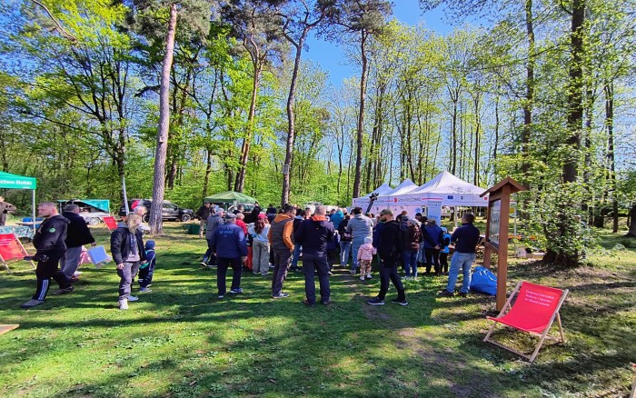 15 Sprzątanie lasu