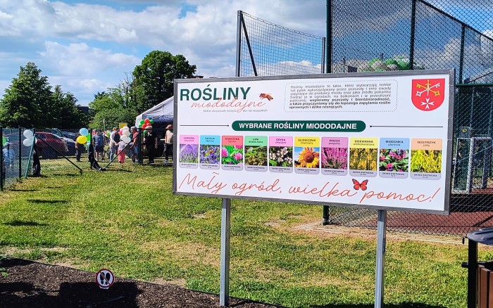 tablica edukacyjna - rośliny miododajne 