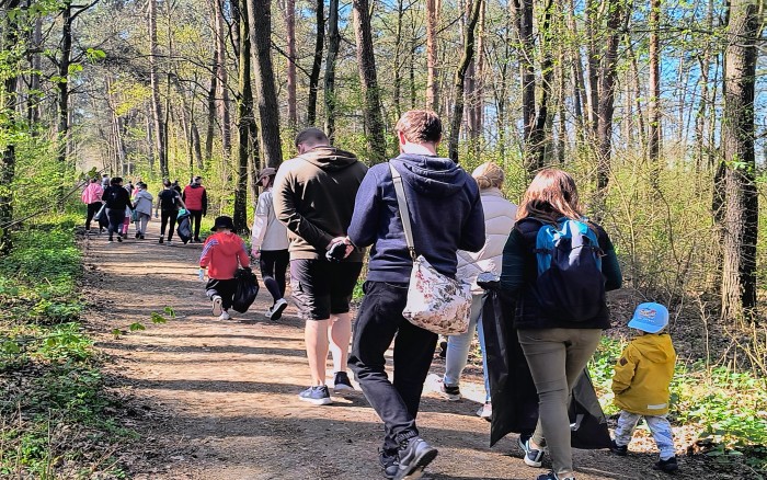 wyjście grup z workami do lasu