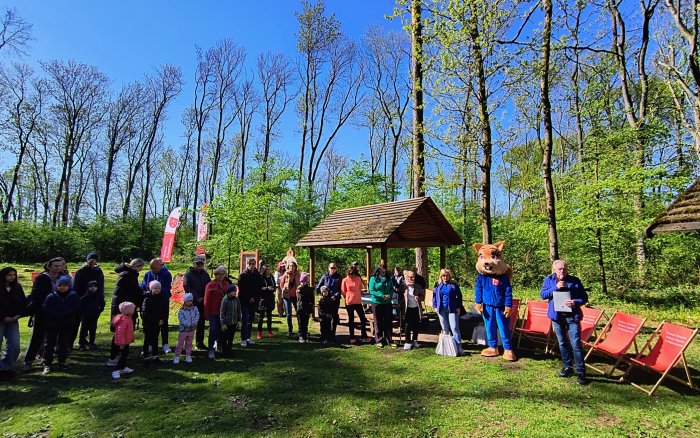 15 Sprzątanie lasu