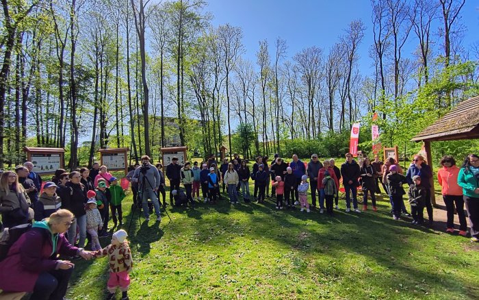 15 Sprzątanie lasu