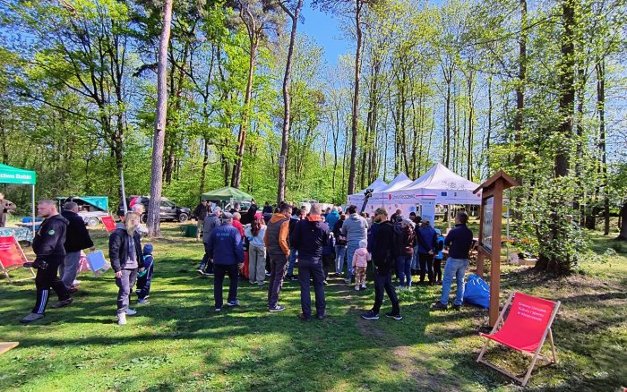 15 Sprzątanie lasu