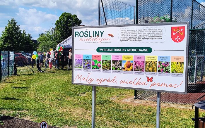 tablica edukacyjna - rośliny miododajne 