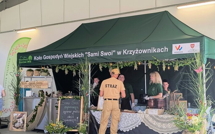 Opis zdjęcia
