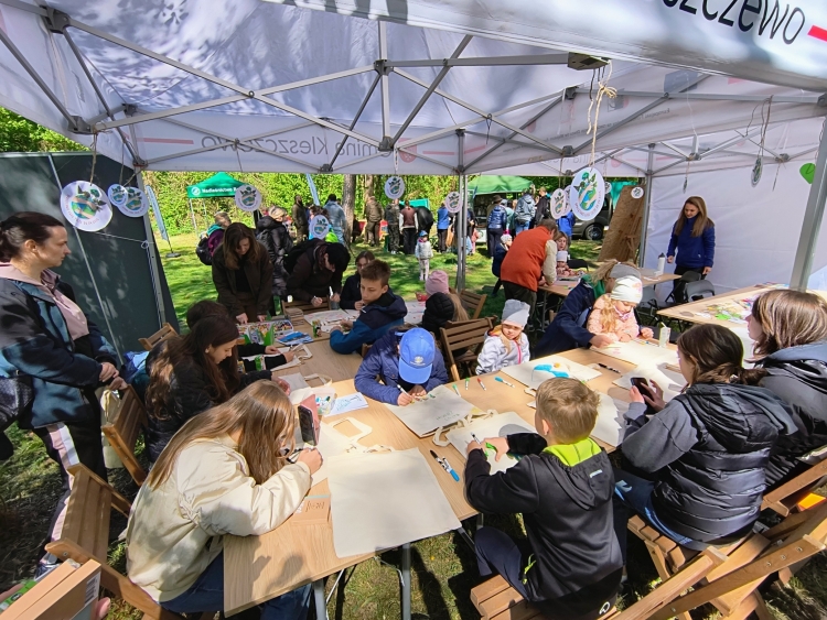 15 Sprzątanie lasu A