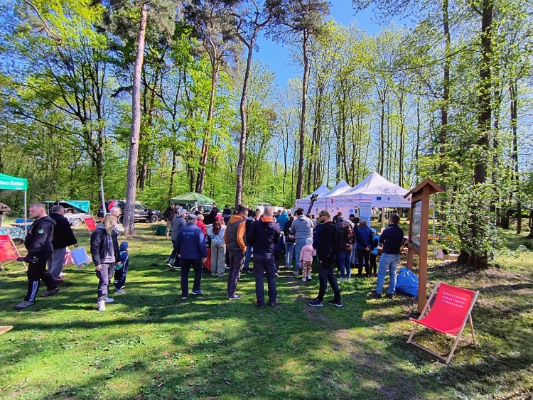 15 Sprzątanie lasu 