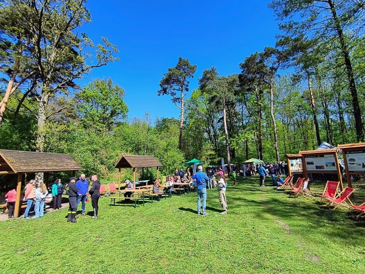 15_sprzątanie_lasu_tuleckiego_fot_AZdobylak